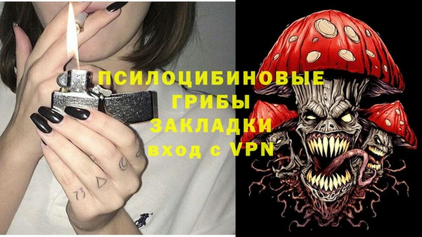прущие крисы Бабаево