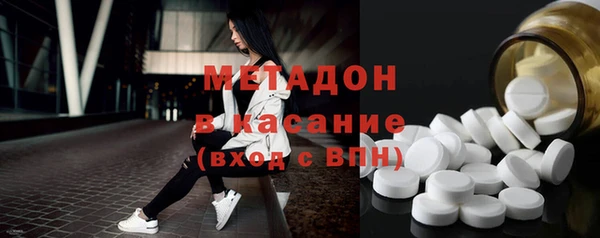 прущие грибы Медногорск