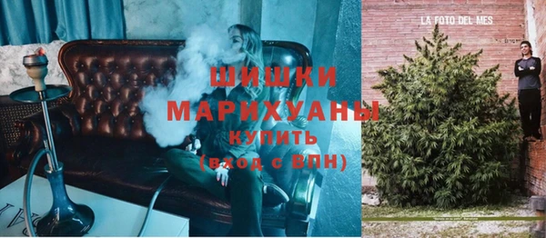 тгк Нея