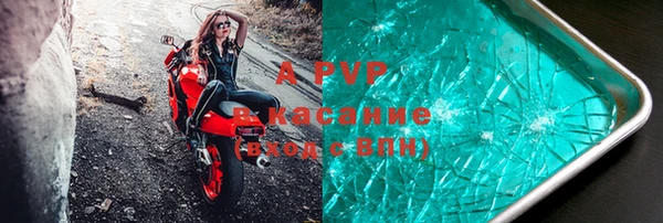 прущие грибы Медногорск