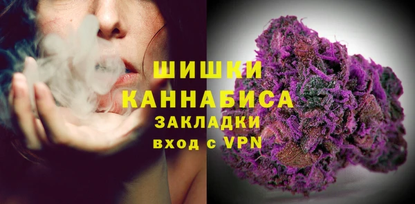 прущие грибы Медногорск