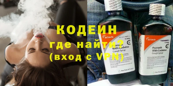 прущие грибы Медногорск
