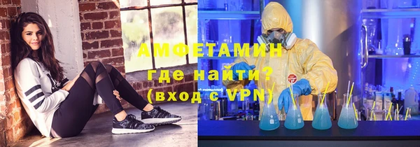 прущие грибы Медногорск
