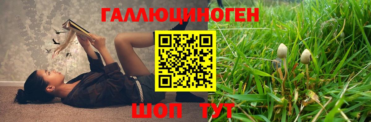 Галлюциногенные грибы Psilocybe Липецк