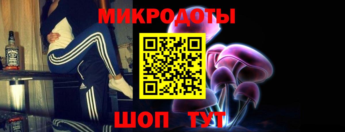 Галлюциногенные грибы Psilocybe  Липецк 